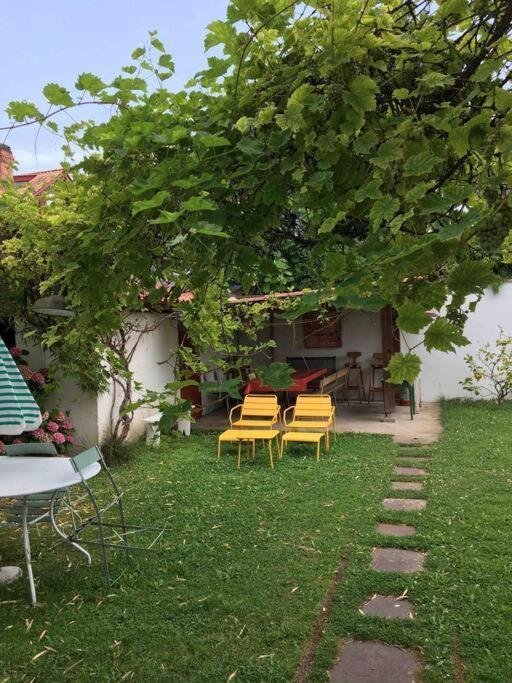 Appartement En Rez De Jardin Ciboure Εξωτερικό φωτογραφία