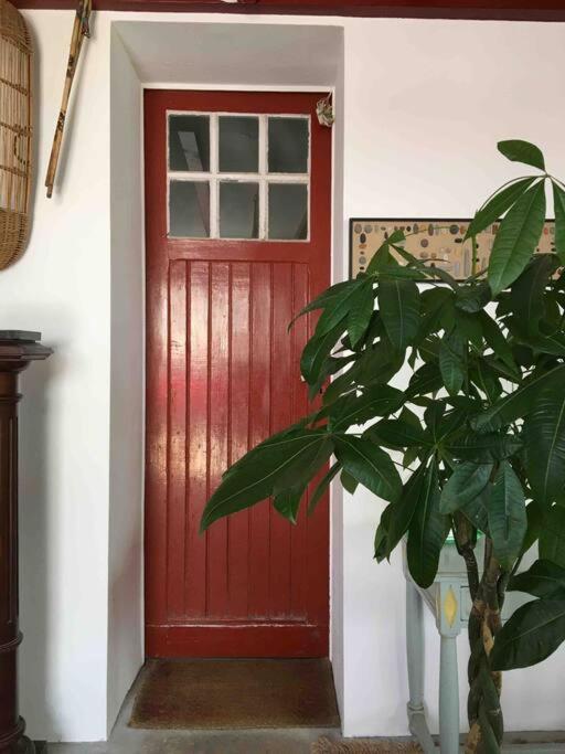 Appartement En Rez De Jardin Ciboure Εξωτερικό φωτογραφία